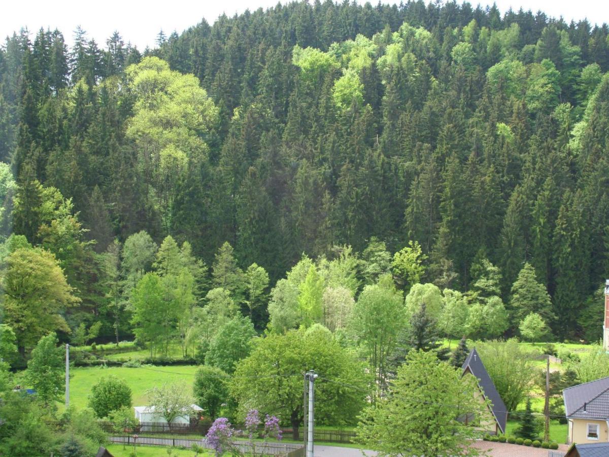 Exclusive Apartment In The Beautiful Ore Mountains Leubsdorf Zewnętrze zdjęcie